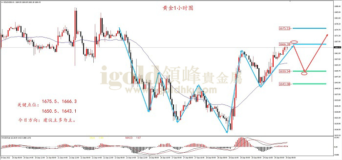 全球黄金走势最新动态与市场洞察报告