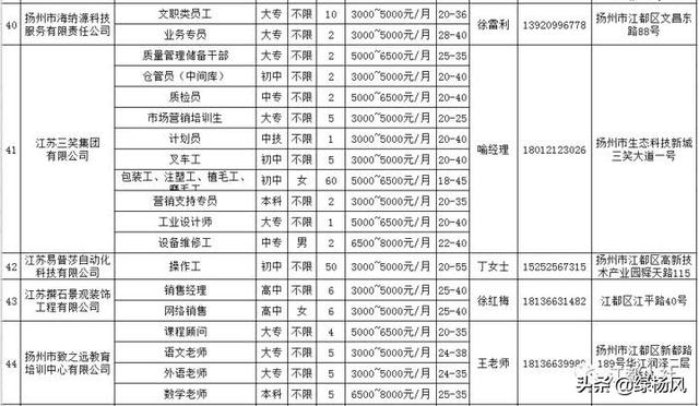 江都招聘网最新招聘动态深度解析及求职指南