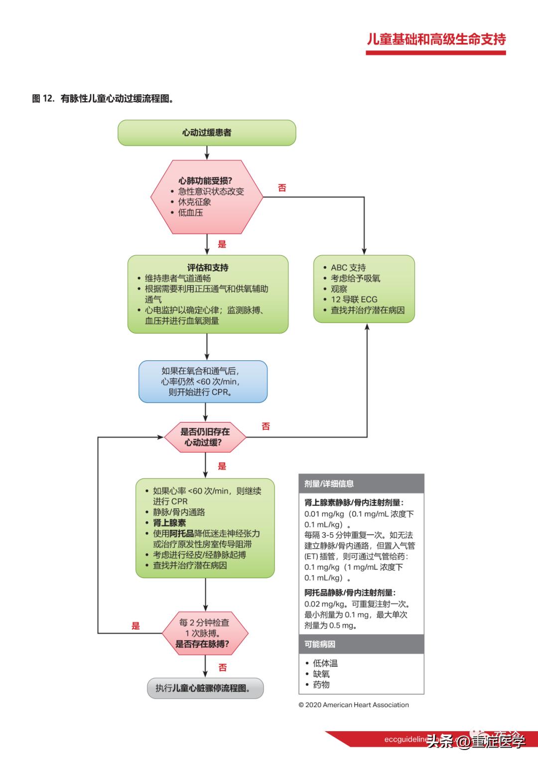 心肺复苏最新指南，拯救生命的操作手册全面解析