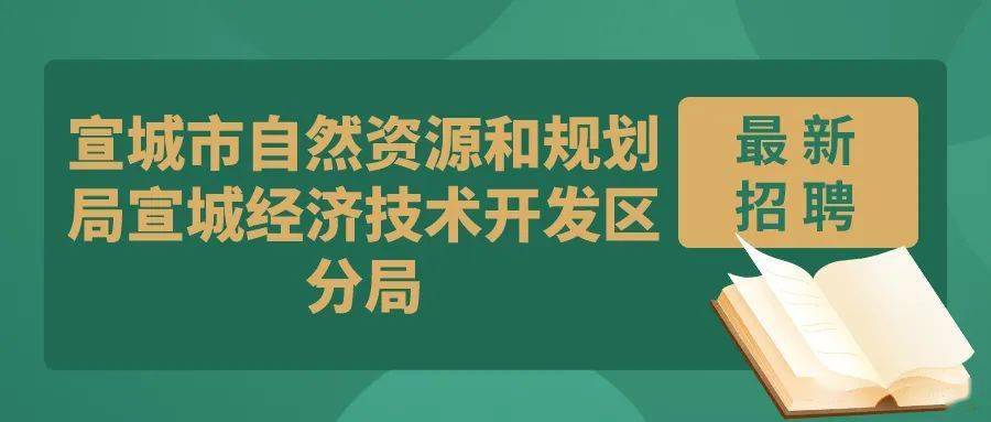 香洲区自然资源和规划局招聘启事概览