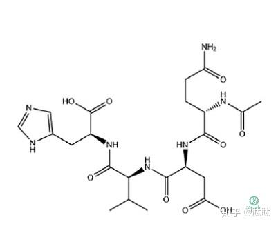 肽最新研究进展与应用领域拓展概览