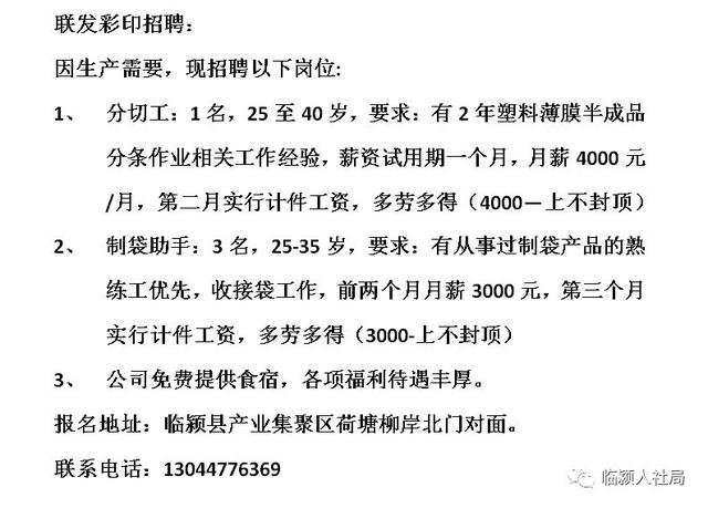 滨州招聘最新动态，职业发展的机遇与挑战解析