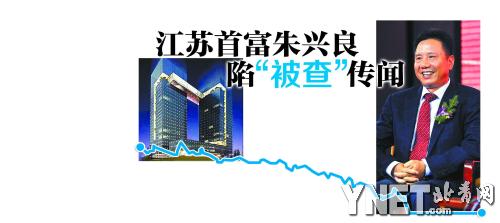 金螳螂最新动态，引领行业变革，塑造未来建筑美学趋势