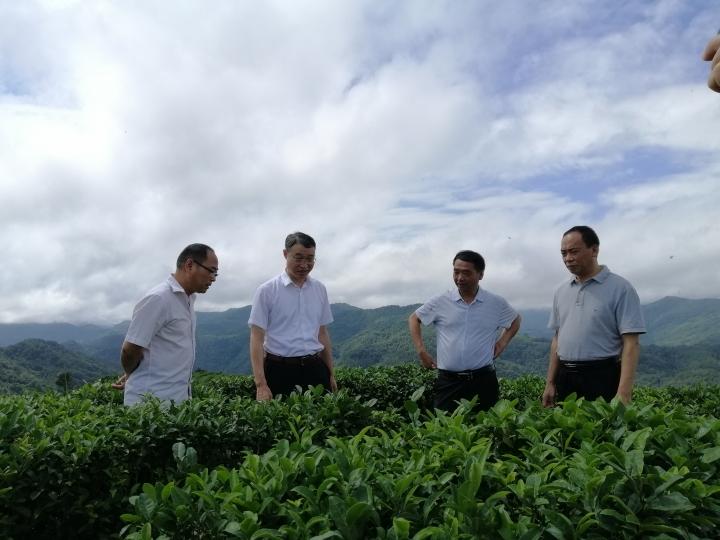 平利县自然资源和规划局最新发展规划概览