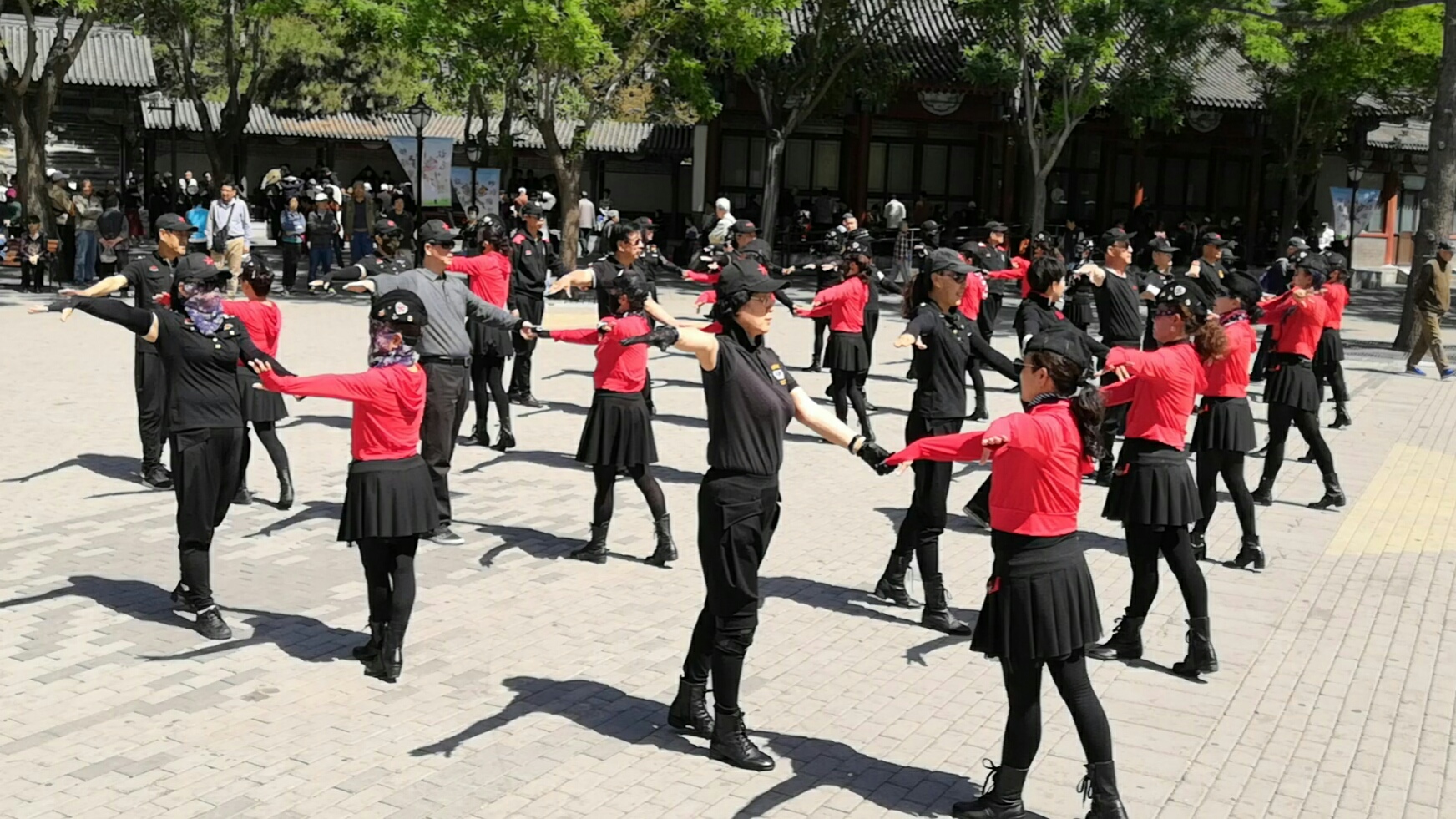 最新水兵舞，海洋之美的独特舞姿演绎