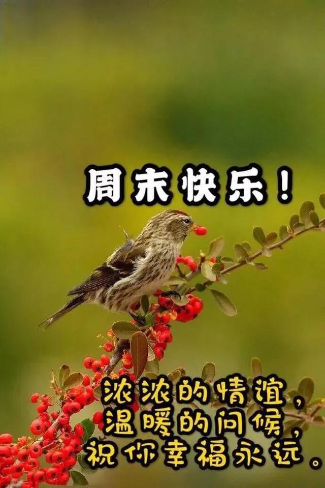 最新早上好图片，传递最美问候与祝福