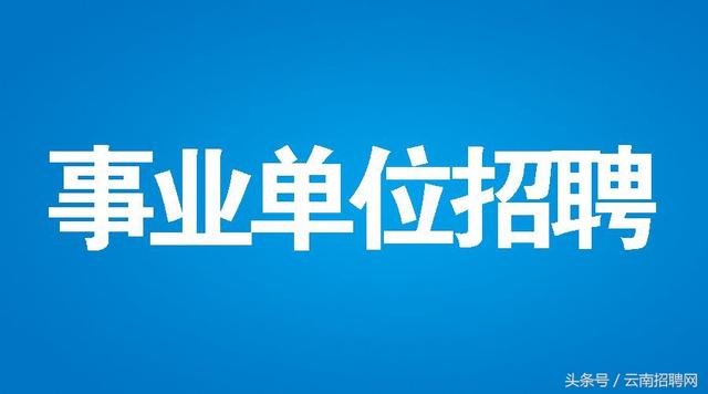 同德县交通运输局最新招聘公告概览